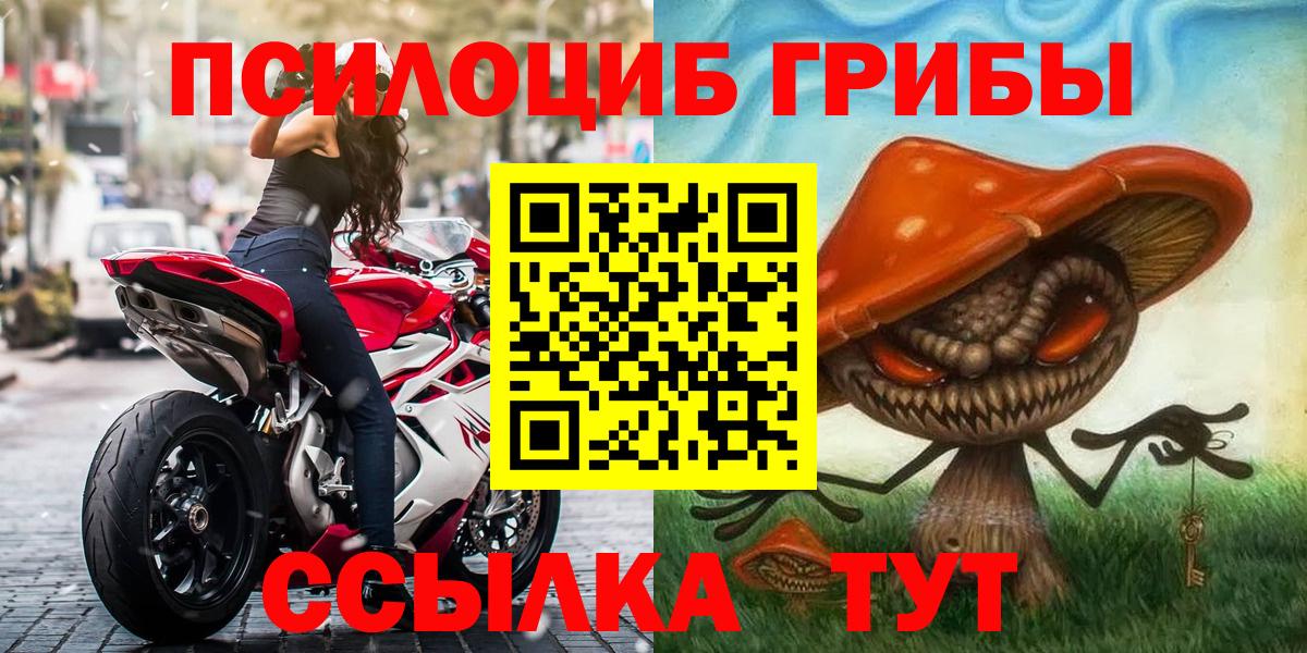 сколько стоит  Галлюциногенные грибы Psilocybe  Вход с VPN  Шелехов 